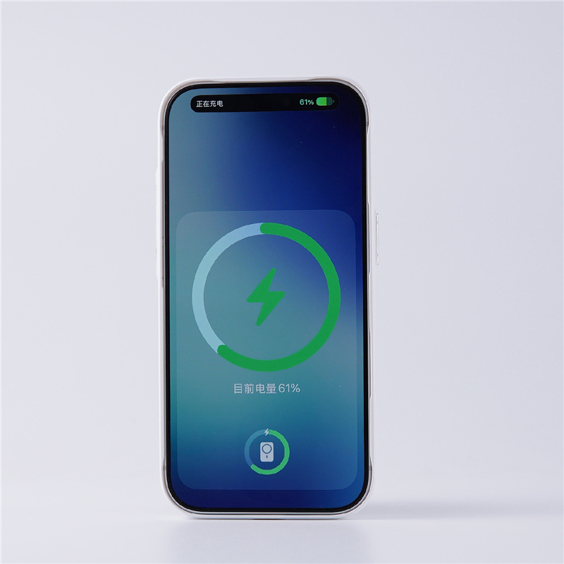 Original Tech Woven Canvas Mag - Tech Accessories Hard Case reseña y precio